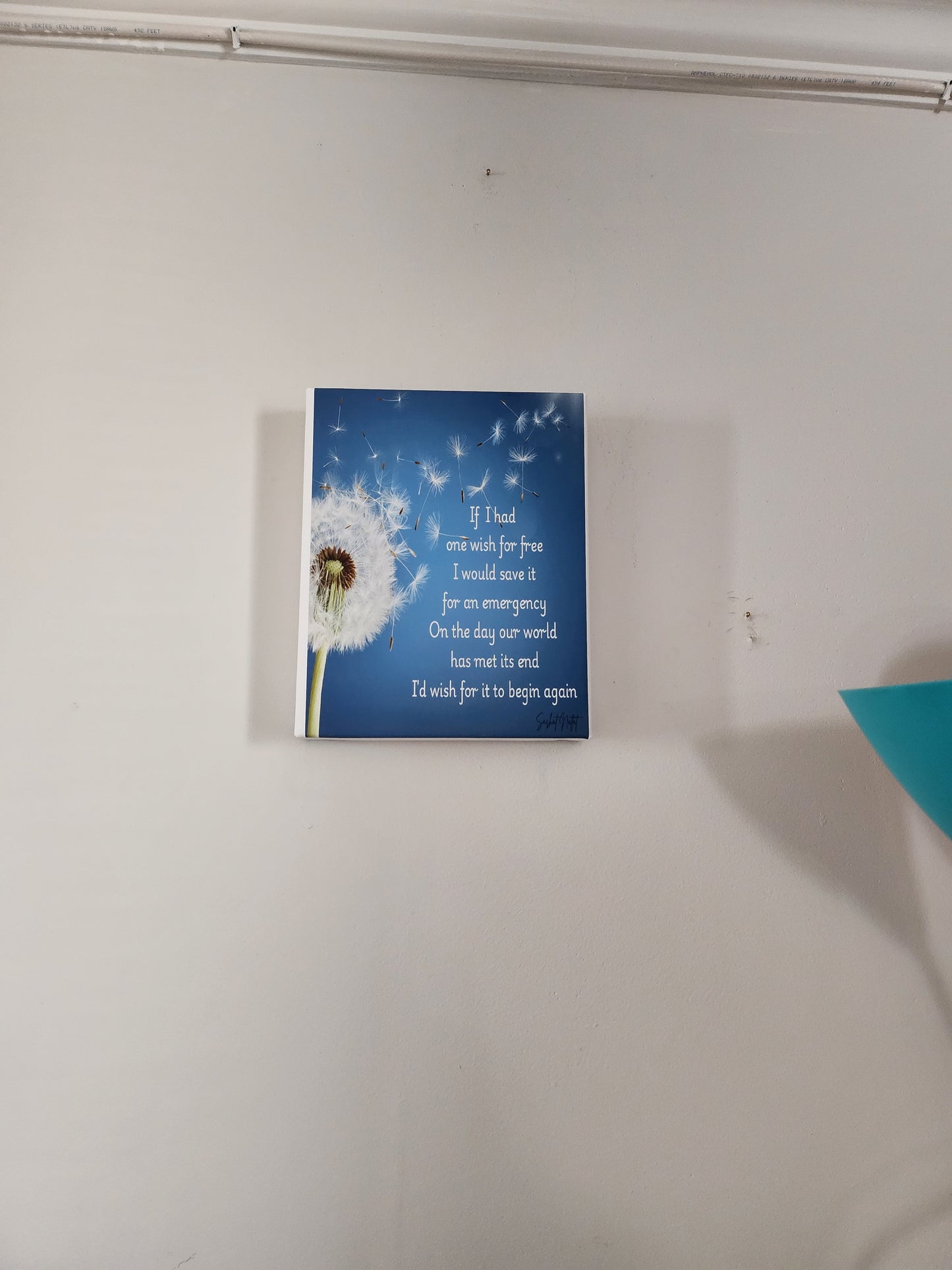 Canvas Wall Art